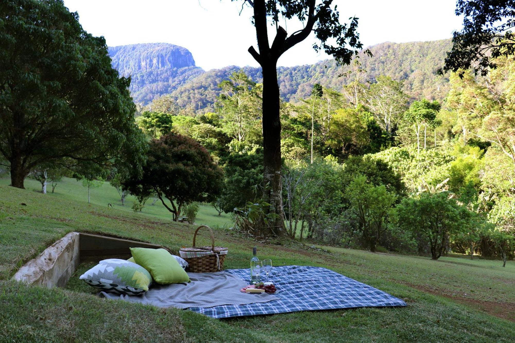 Crystal Creek Rainforest Retreat Exterior foto