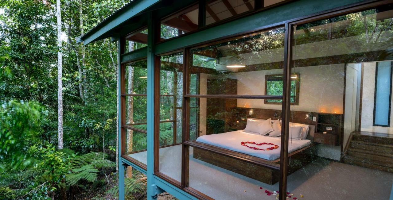 Crystal Creek Rainforest Retreat Exterior foto